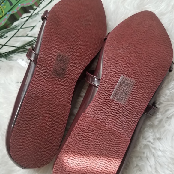 Blowfish flat - Picture 3 of 5